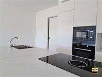 Appartement - TONGEREN-BORGLOON