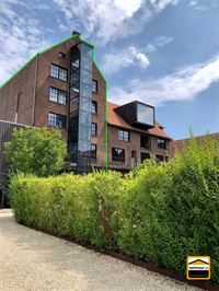 Voormalige brouwerij met woonst - BILZEN-HOESELT