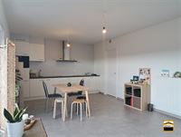 Appartement - TONGEREN-BORGLOON