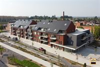 Appartement - TONGEREN-BORGLOON