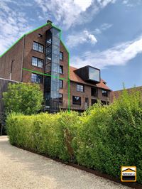 Unieke loft in voormalige brouwerij - BILZEN-HOESELT