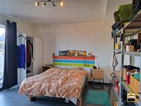 Appartement - TONGEREN-BORGLOON