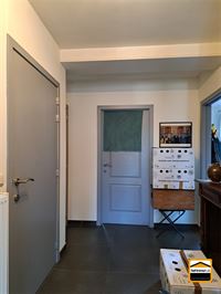 Appartement - TONGEREN-BORGLOON