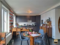 Appartement - TONGEREN-BORGLOON
