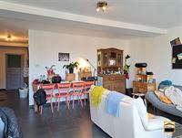 Appartement - TONGEREN-BORGLOON