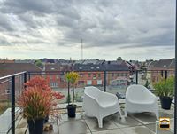 Appartement - TONGEREN-BORGLOON