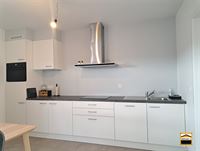 Appartement - TONGEREN-BORGLOON
