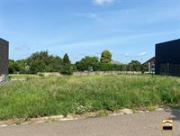 Bouwgrond - TONGEREN-BORGLOON