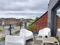 Appartement - TONGEREN-BORGLOON