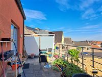 Appartement - TONGEREN-BORGLOON