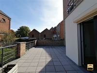 Appartement - TONGEREN-BORGLOON
