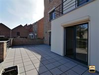 Appartement - TONGEREN-BORGLOON