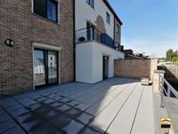 Appartement - TONGEREN-BORGLOON