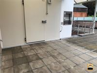 Appartement - TONGEREN-BORGLOON