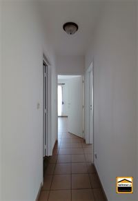 Appartement - TONGEREN-BORGLOON