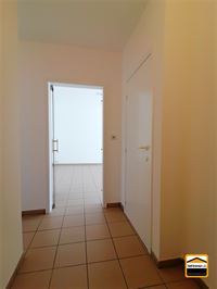 Appartement - TONGEREN-BORGLOON