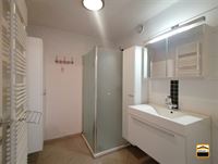 Appartement - TONGEREN-BORGLOON