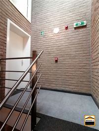 Appartement - TONGEREN-BORGLOON