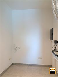 Appartement - TONGEREN-BORGLOON