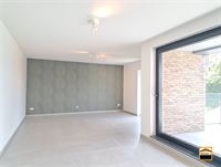 Appartement - TONGEREN-BORGLOON