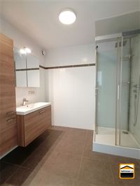 Appartement - TONGEREN-BORGLOON