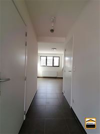 Appartement - TONGEREN-BORGLOON