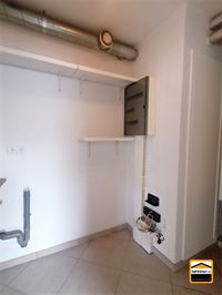 Appartement - TONGEREN-BORGLOON