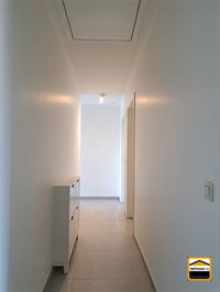 Appartement - TONGEREN-BORGLOON