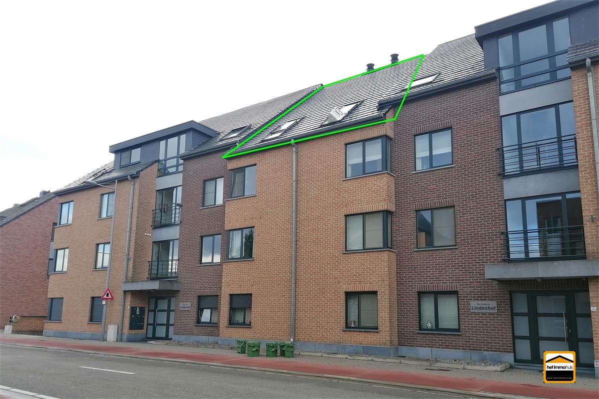 Appartement - TONGEREN-BORGLOON