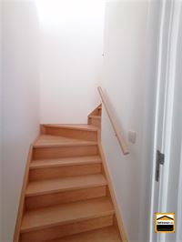 Appartement - TONGEREN-BORGLOON