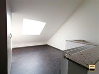 Appartement - TONGEREN-BORGLOON