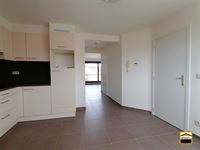Appartement - TONGEREN-BORGLOON