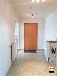 Appartement - TONGEREN-BORGLOON