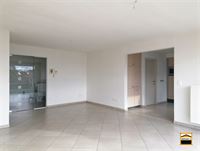 Appartement - TONGEREN-BORGLOON