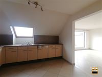 Appartement - TONGEREN-BORGLOON