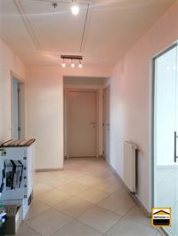 Appartement - TONGEREN-BORGLOON
