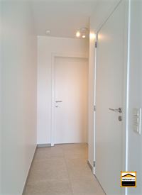 Appartement - TONGEREN-BORGLOON