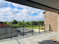 Appartement - TONGEREN-BORGLOON