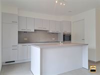 Appartement - TONGEREN-BORGLOON