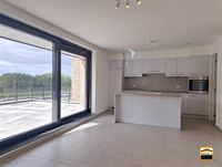 Appartement - TONGEREN-BORGLOON