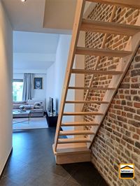 Appartement - TONGEREN-BORGLOON