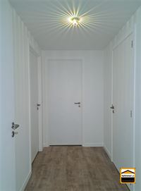 nieuwbouw appartement - TONGEREN-BORGLOON