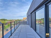 nieuwbouw appartement - TONGEREN-BORGLOON
