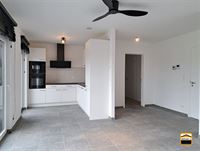 nieuwbouw appartement - TONGEREN-BORGLOON