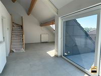 Appartement - BORGLOON