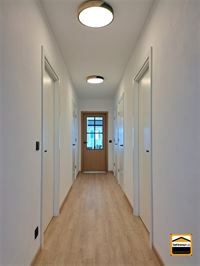 Appartement - BORGLOON