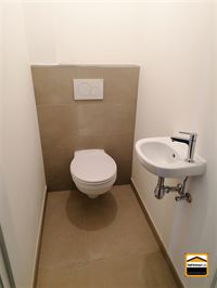 Appartement - TONGEREN-BORGLOON