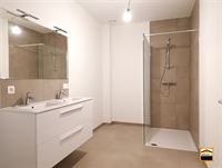 Appartement - TONGEREN-BORGLOON