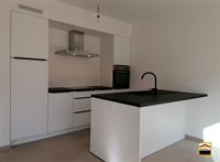 Appartement - TONGEREN-BORGLOON