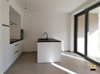Appartement - TONGEREN-BORGLOON